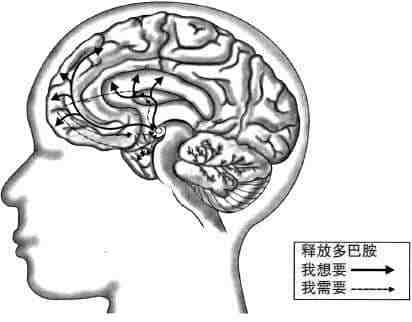 安徽得潤電氣 成套高低壓開關(guān)柜 廠家 報價 電話:400-0551-777 qq:3176885416 安徽得潤電氣 成套高低壓開關(guān)柜 廠家 報價 電話:400-0551-777 qq:3176885416